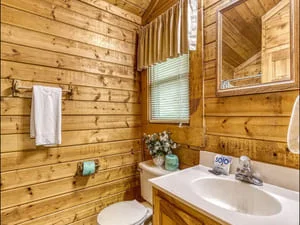 Clean rustic log cabin bathroom with wood walls, white sink, and organized toiletries
